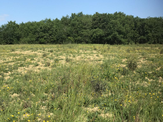  Terrain � vendre 1400 m�