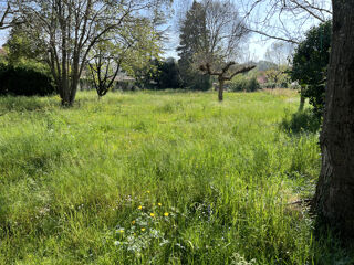  Maison � vendre 6 pi�ces 224 m�