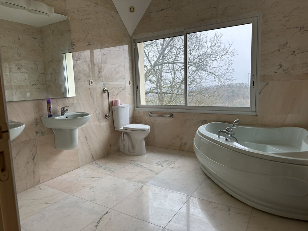 � vendre  Propri�t�/ch�teau Masseube (32140)