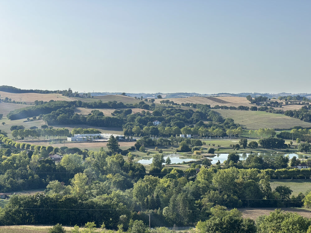 à vendre  Propriété/château L'Isle-en-Dodon (31230)