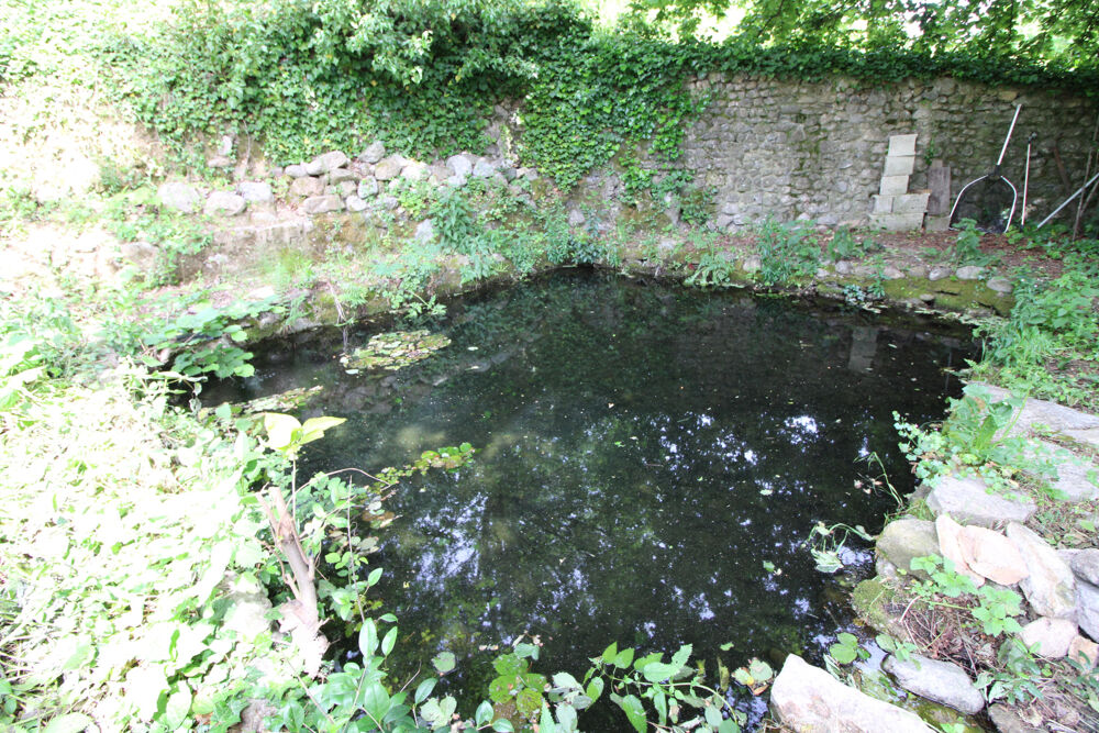  vendre  Proprit/chteau Lasalle (30460)