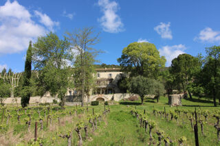  Maison � vendre 15 + pi�ces 1000 m�