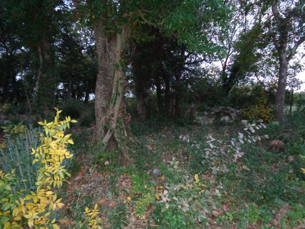Vente Terrain Gard Villevieille Terrain Agricole Villevieille
