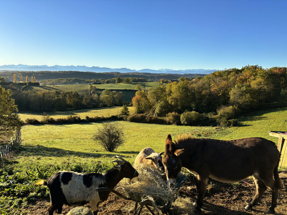 Vente Maison Propriété exceptionnelle, ferme ancienne rénovée, gîte, vue incroyable sur la chaîne des Pyrénées Boulogne sur gesse