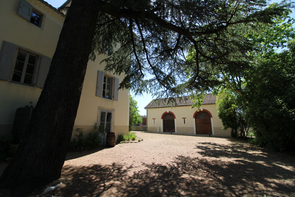 � vendre  Propri�t�/ch�teau Saint-Mathieu-de-Tr�viers (34270)