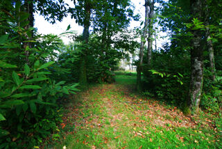  Terrain à vendre 3200 m²