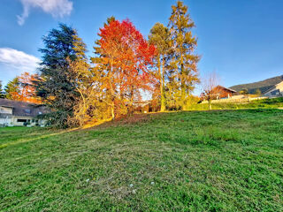 Terrain - 911 m²