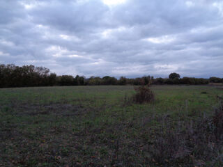  Terrain � vendre 40443 m�