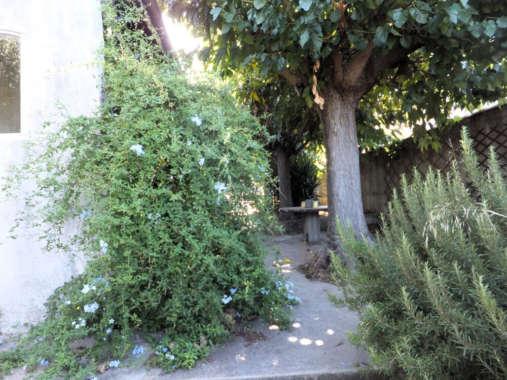 Vente Maison Villa 5 pièces avec 2 garages et jardin Vauvert