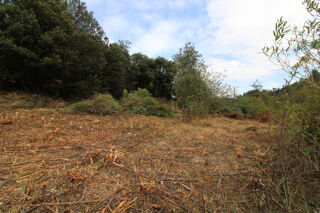  Terrain � vendre 1000 m� Les plantiers