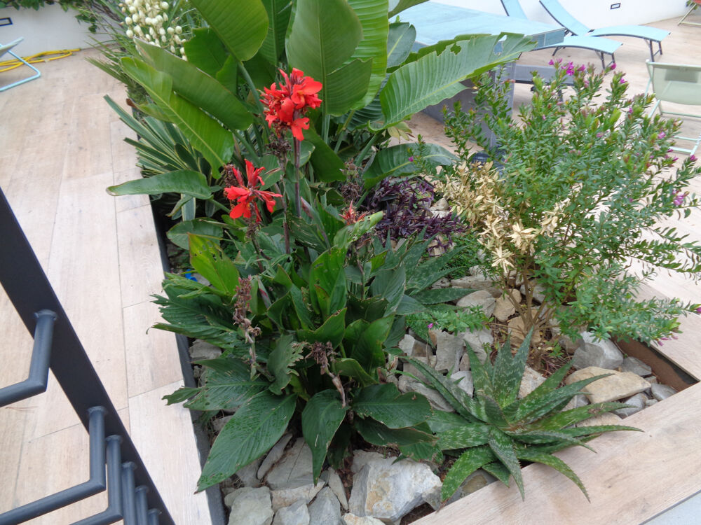  vendre  Maison Nmes (30000)