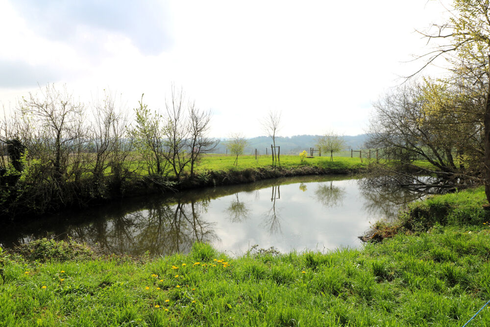 Propriété exceptionnelle, Ferme ancienne, dépendances, 36ha, mare et puits