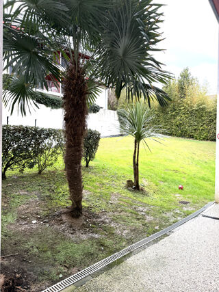  Appartement � vendre 2 pi�ces 38 m�