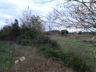  Terrain à vendre 40443 m²