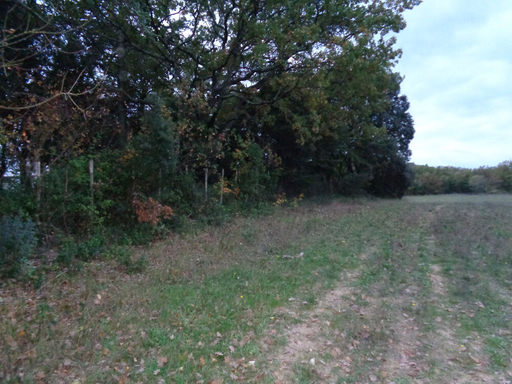Vente Terrain Gard Villevieille Terrain Agricole Villevieille