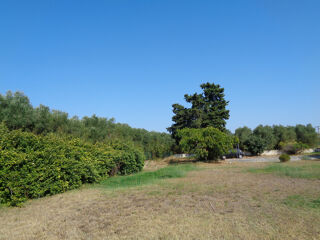  Propri�t�/ch�teau � vendre 15 + pi�ces 800 m�