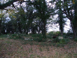  Terrain � vendre 40443 m�