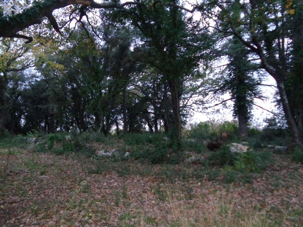Vente Terrain Gard Villevieille Terrain Agricole Villevieille