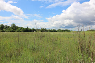  Terrain � vendre 16901 m�