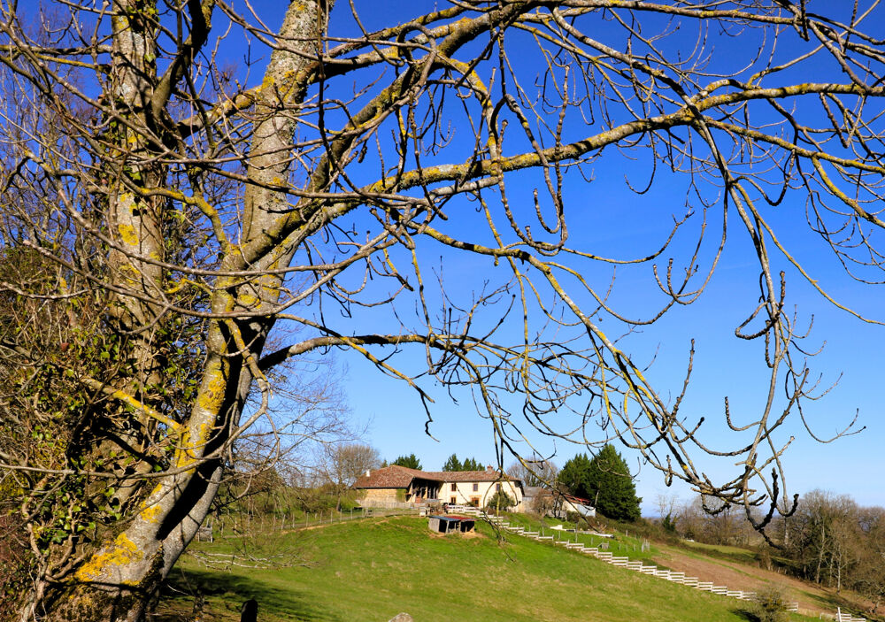 Propriété exceptionnelle, ferme ancienne rénovée, gîte, vue incroyable sur la chaîne des Pyrénées