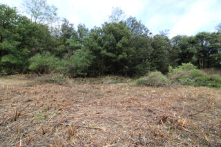  Terrain � vendre 1000 m� Les plantiers