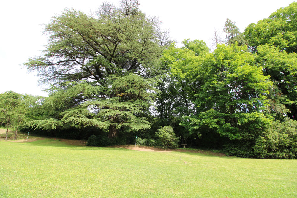  vendre  Proprit/chteau Lasalle (30460)