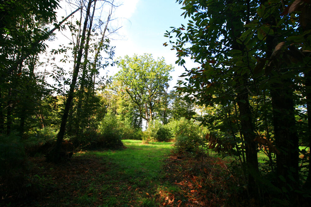 Vente Terrain Superbe terrain constructible Plazac