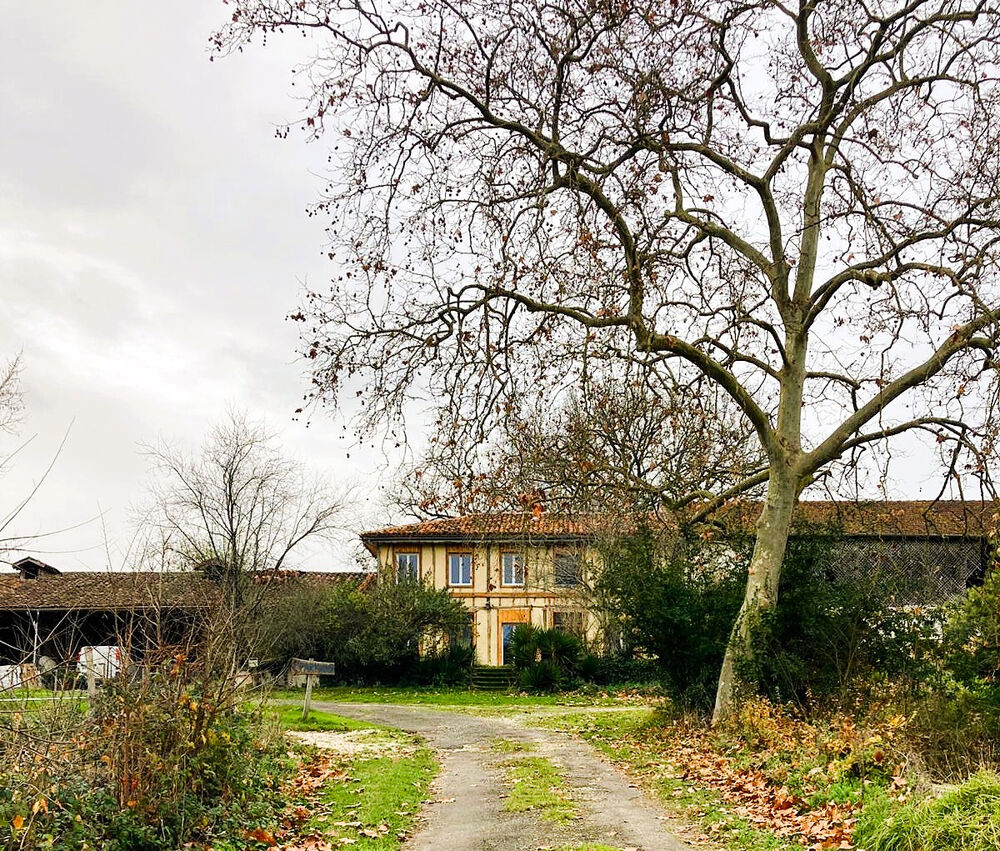 Propriété avec Jolie Maison entièrement rénovée, dépendances, sur terrain de 13895m2