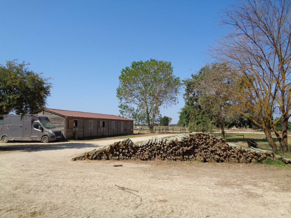 � vendre  Propri�t�/ch�teau Lunel (34400)