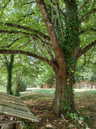  Maison � vendre 7 pi�ces 222 m�