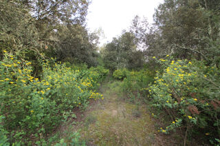  Terrain à vendre 400 m²