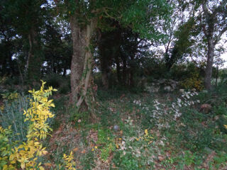  Terrain à vendre 40443 m²