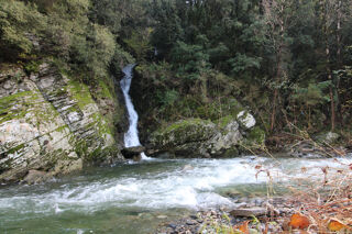  Maison � vendre 7 pi�ces 222 m�