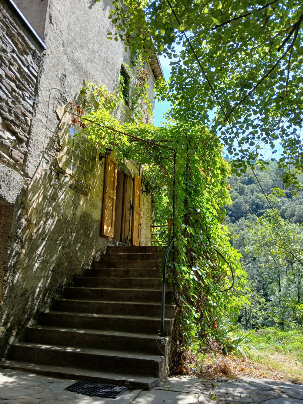 Vente Maison MAS 360 de volume + 25 hectares. Saumane