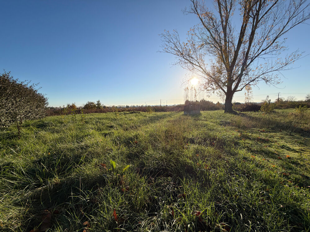Vente Terrain A Vendre très beau terrain constructible de 513 m2 Rabastens