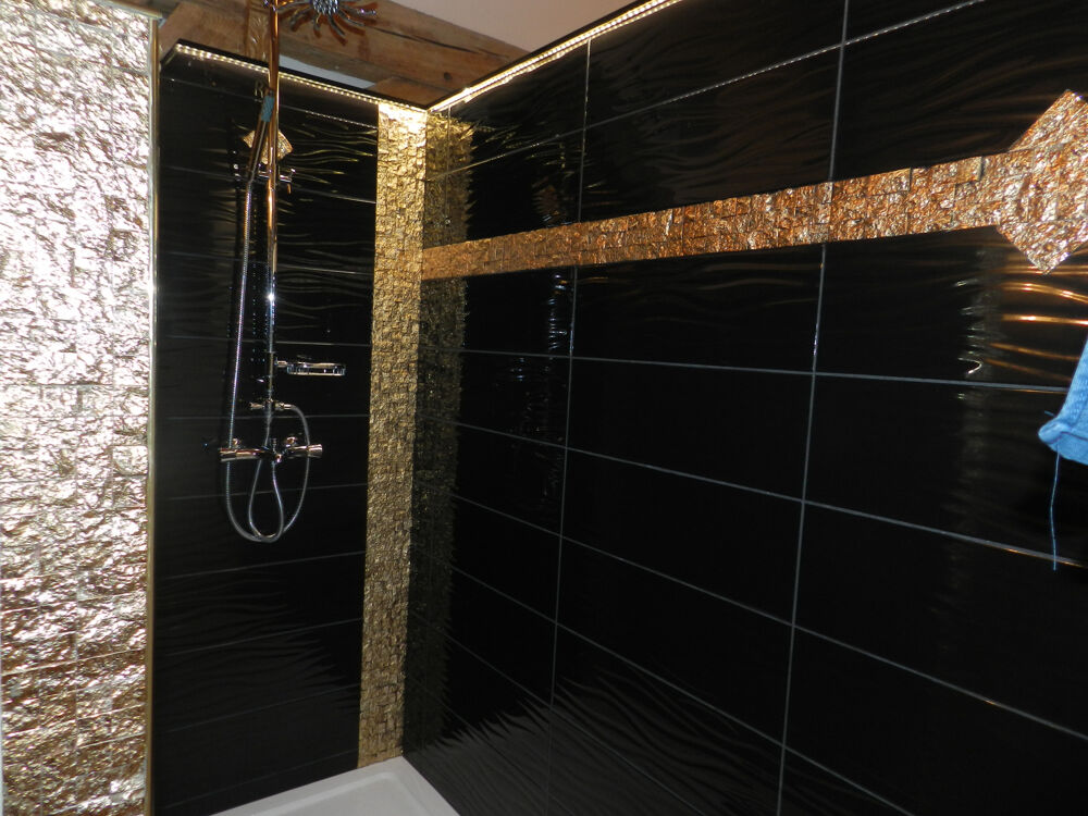  vendre  Proprit/chteau Laubressel (10270)