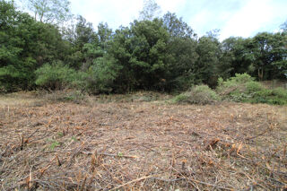  Terrain � vendre 1000 m�
