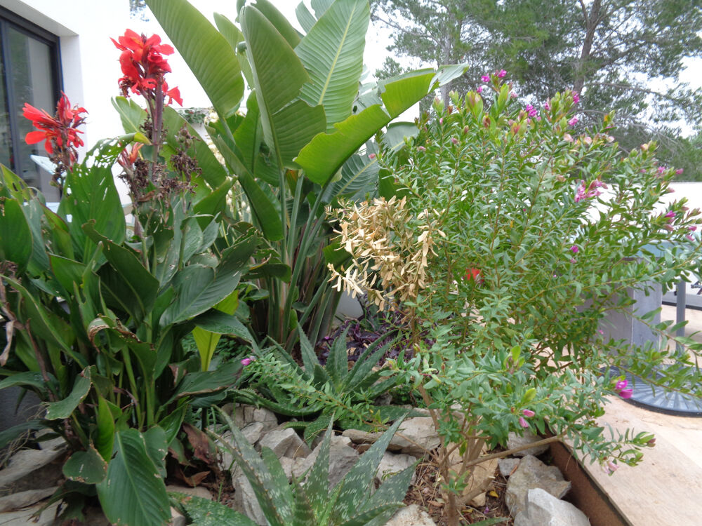 � vendre  Maison N�mes (30000)