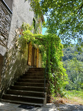  Maison � vendre 7 pi�ces 222 m�