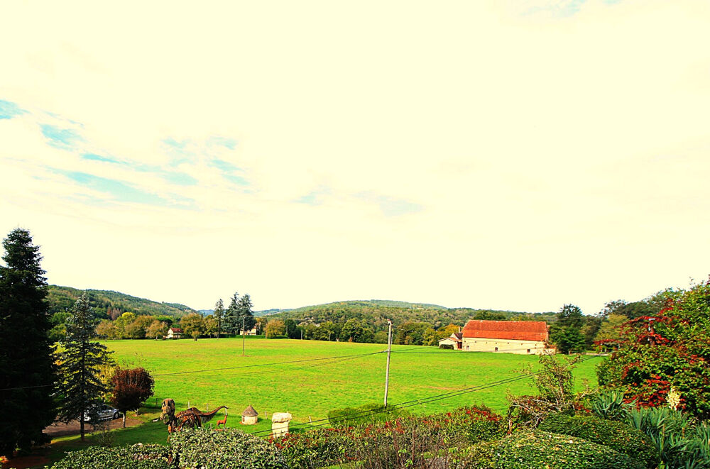 Vente Maison Maison en pierre avec grange Les eyzies de tayac sireuil