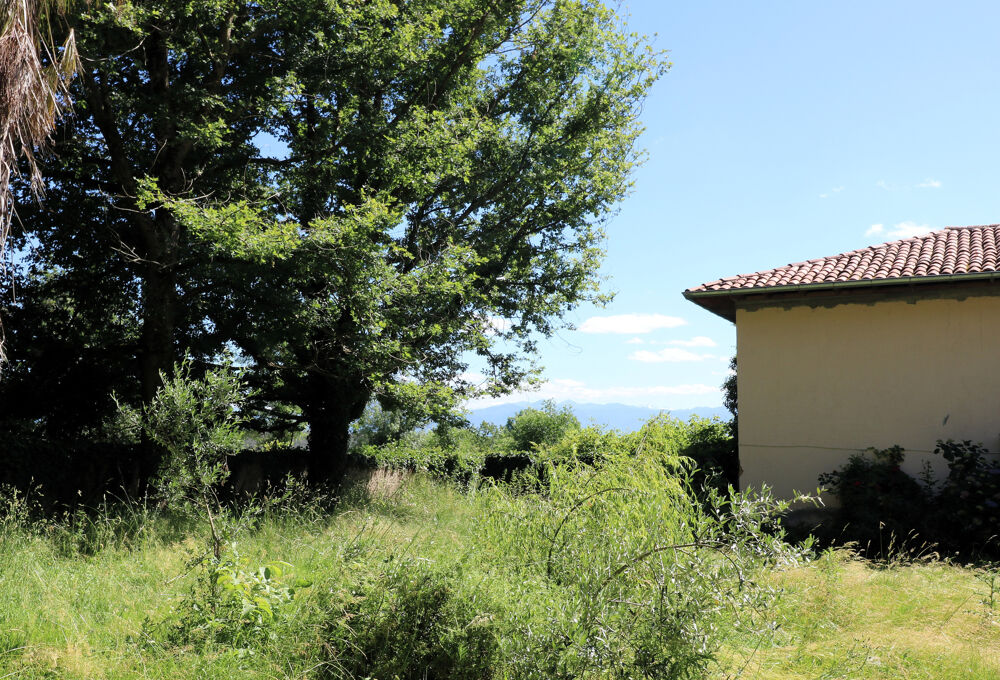 Vente Maison Authentique Maison de Campagne, dépendances, sur 5632m2 de terrain St plancard