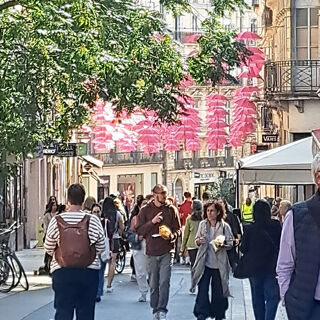  Duplex/triplex � vendre 3 pi�ces 69 m�