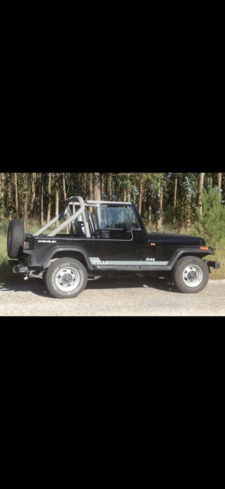 Wrangler 2.5 Texan 1992 occasion 68390 Sausheim