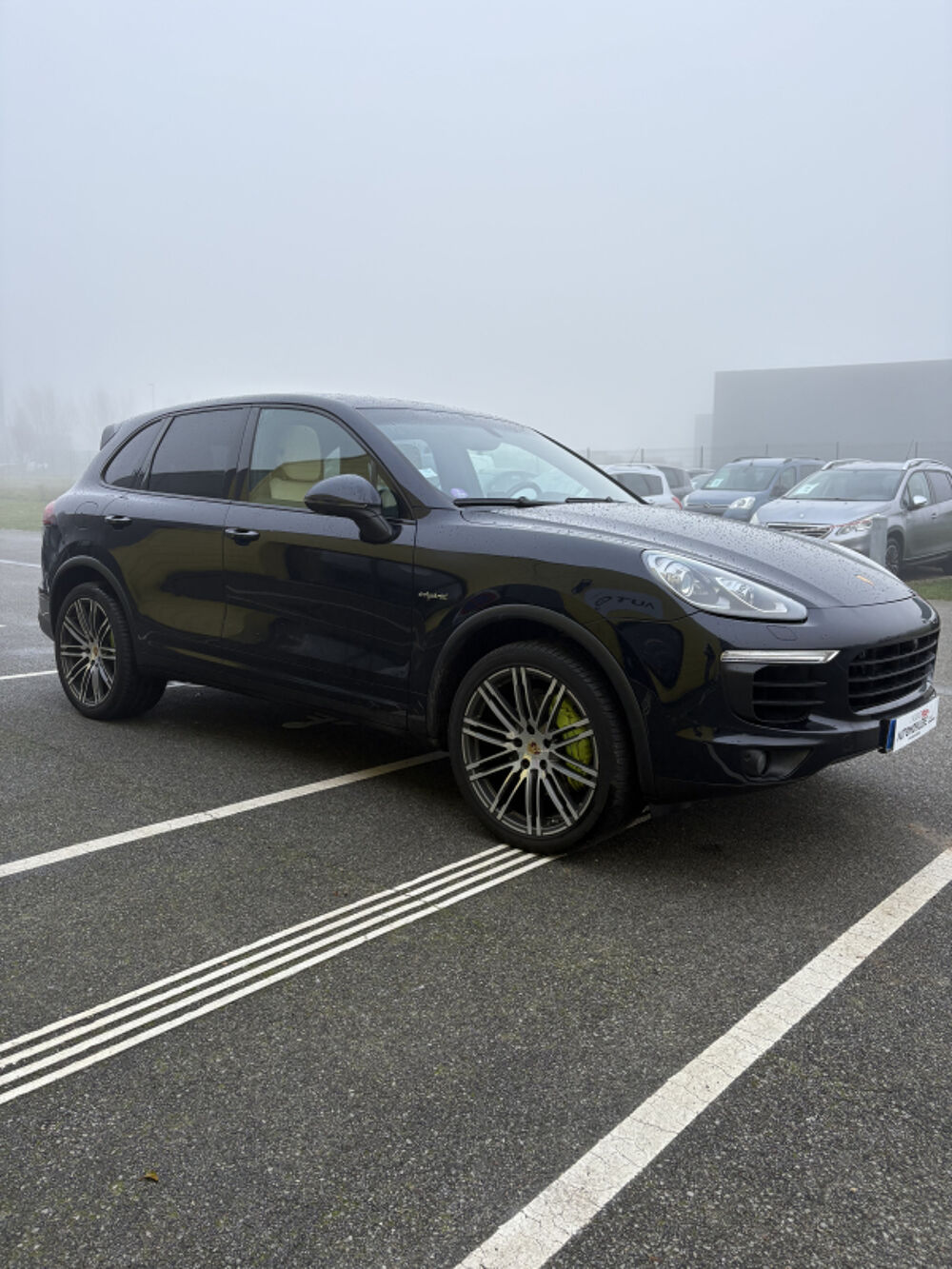 Cayenne 3.0 S E-HYBRID TIPTRONIC 2015 occasion 76760 Yerville