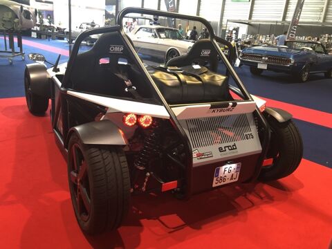  2019 occasion 68390 Sausheim