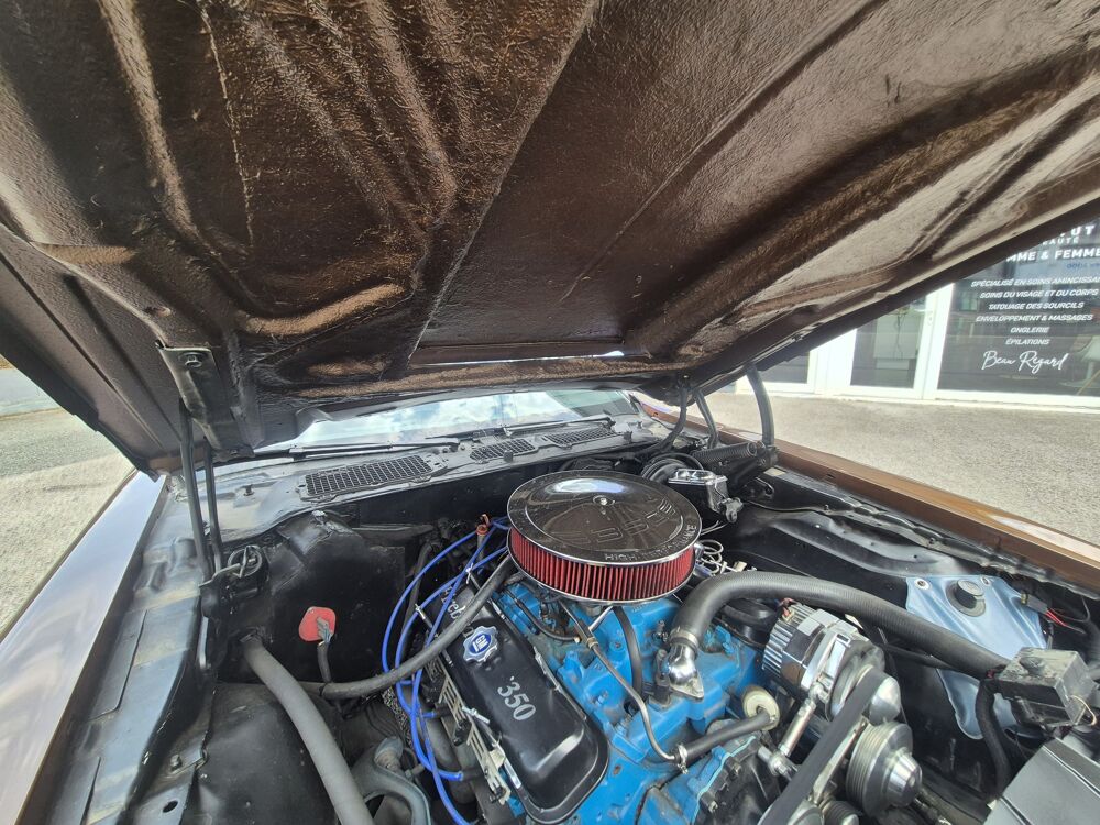 Firebird 5.7 V8 350 - 170 cv - 1977 occasion 25400 Audincourt