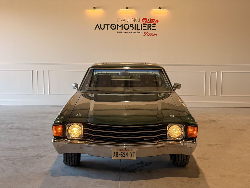 Divers Custom V8 350CI 1972 occasion 27620 Gasny