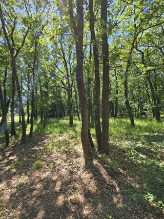  Propriété/château à vendre 7 pièces 160 m²