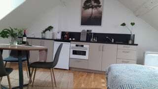  Appartement à louer 1 pièce 20 m²