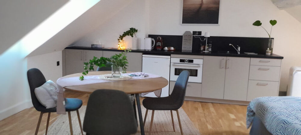 Location Appartement Studio meublé de prestige   Bords de Loire   Orléans Orleans
